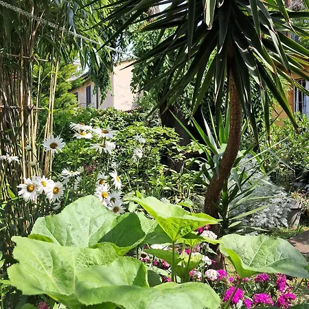 Pansiyon With A Garden
