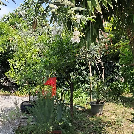 Pansiyon With A Garden *