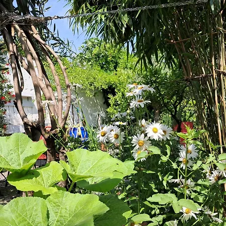 With A Garden Alloggio in famiglia Milano