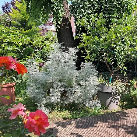 With A Garden Alloggio in famiglia