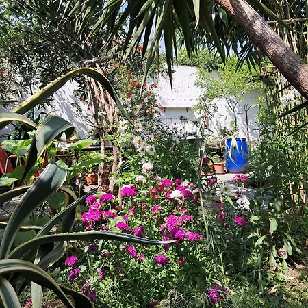 With A Garden Quarto em Acomodações Particulares *