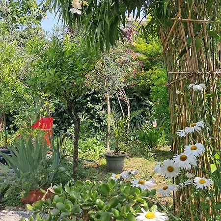 Accommodatie bij particulieren With A Garden *