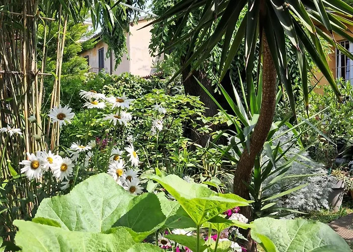 Alloggio in famiglia With A Garden