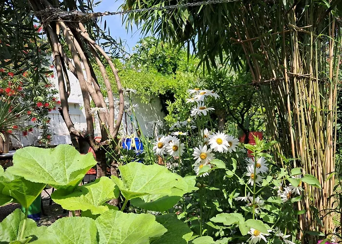 With A Garden Alloggio in famiglia Milano