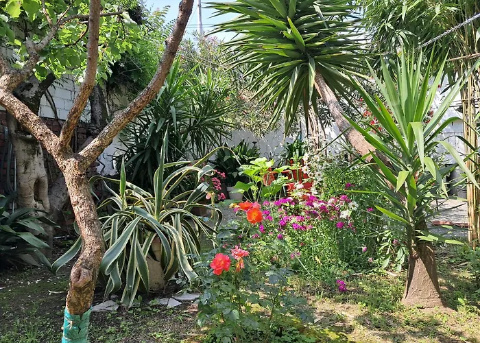 With A Garden